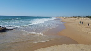 Une plage avec un rivage sablonneux et des vagues douces.