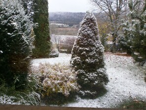 A snow-covered landscape with a coniferous tree and a large evergreen bush.