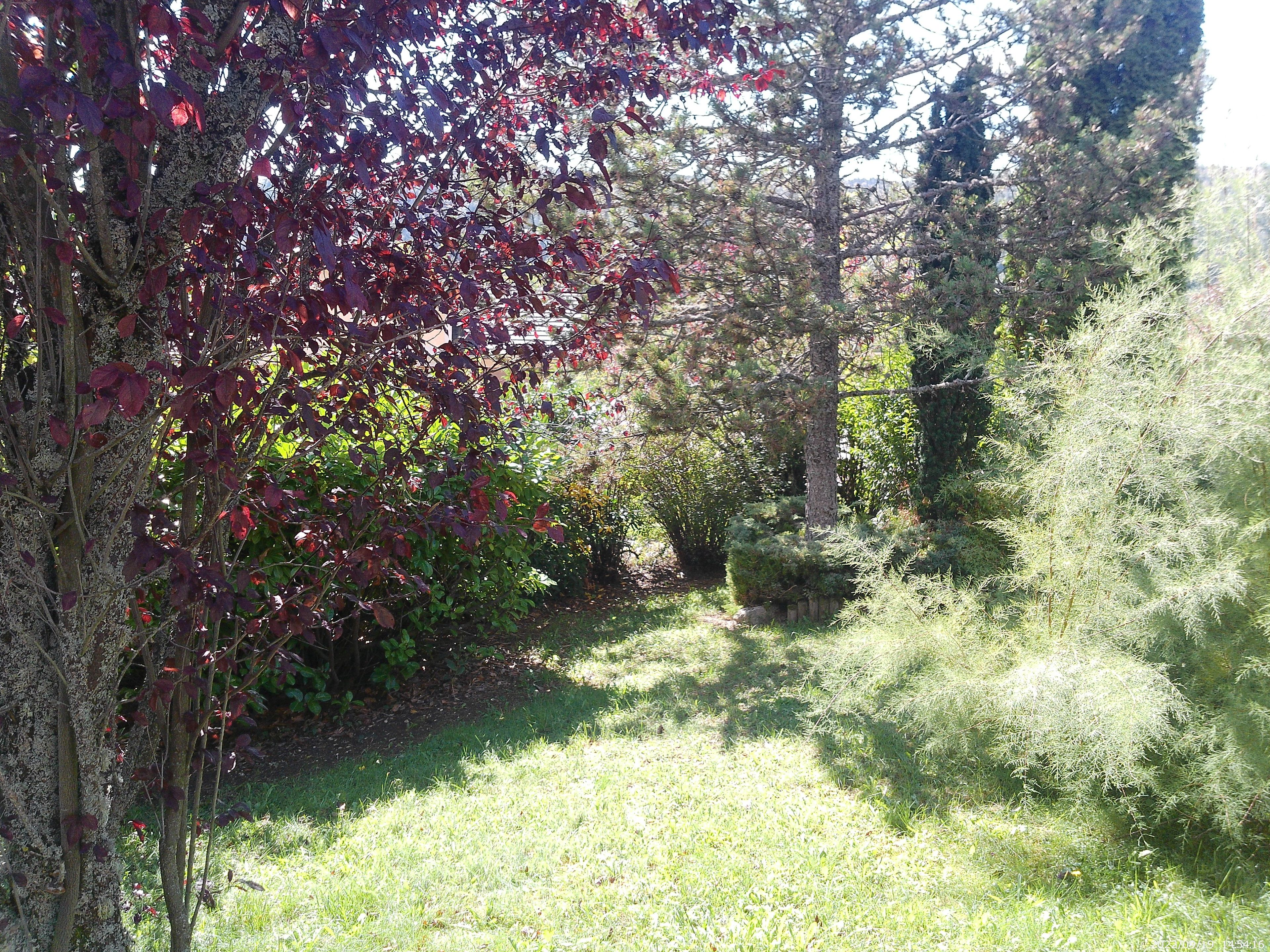 A natural outdoor area with trees and grass.