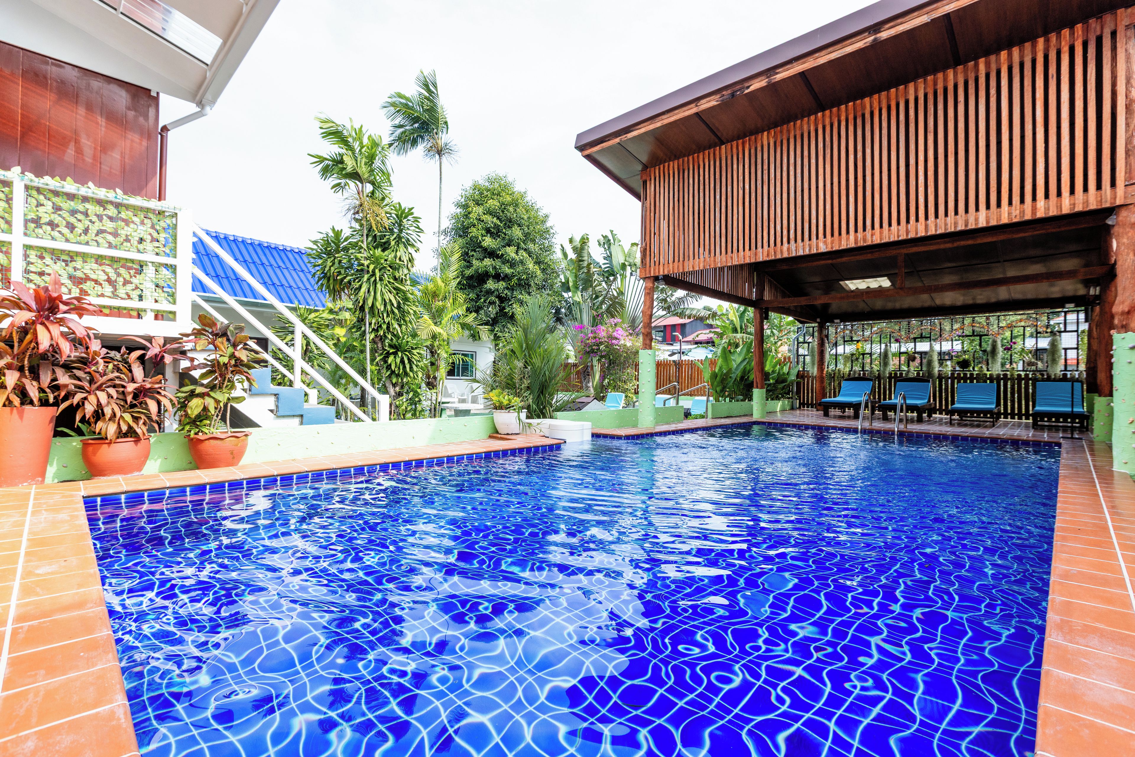 Una piscina con borde de azulejos, rodeada de plantas en macetas y una estructura de madera.