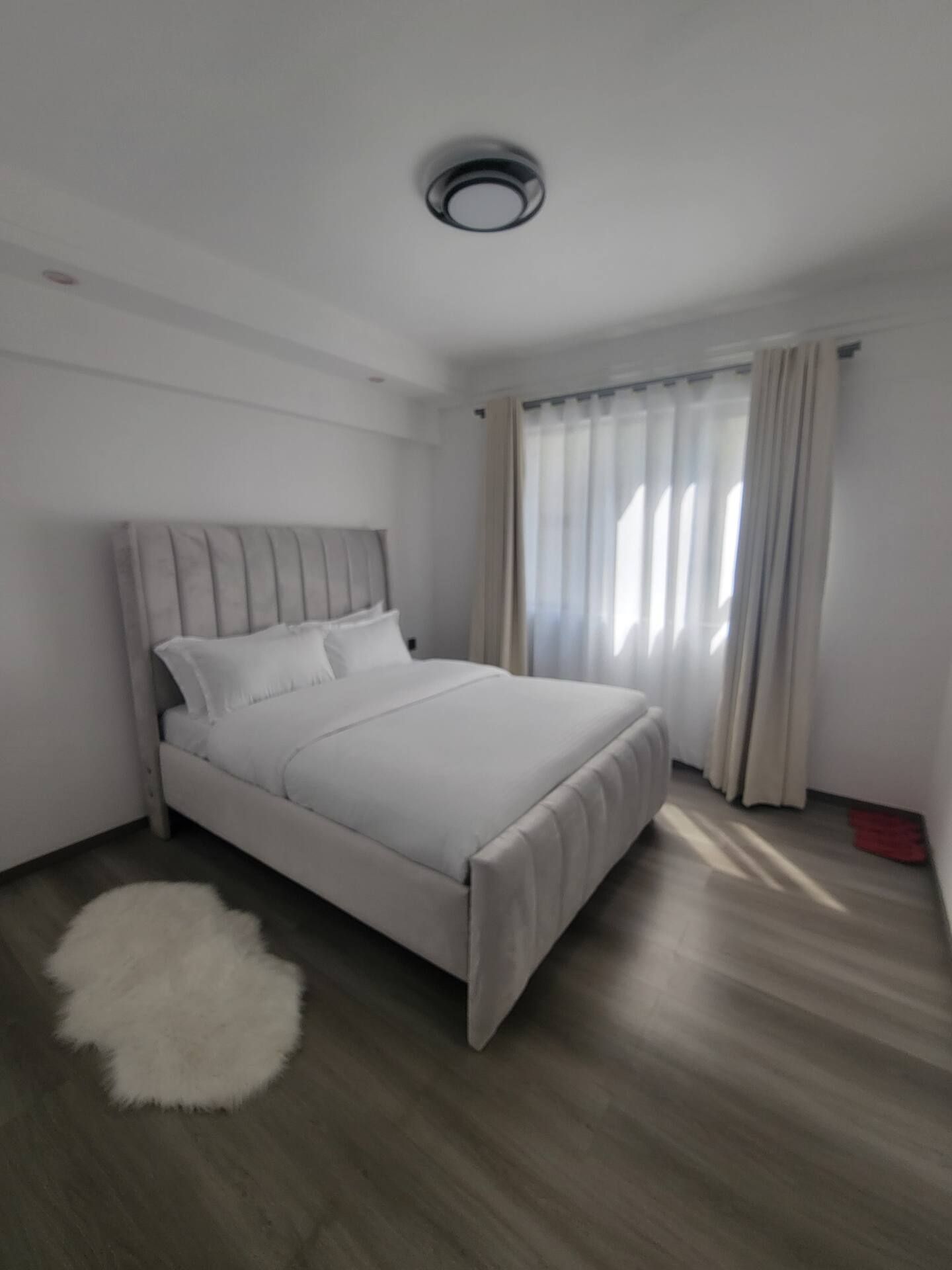 Una camera da letto moderna con un letto, un tappeto morbido e una finestra con tende.