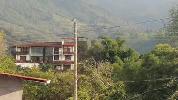 A residential area with houses, a street, and a mountain in the background.
