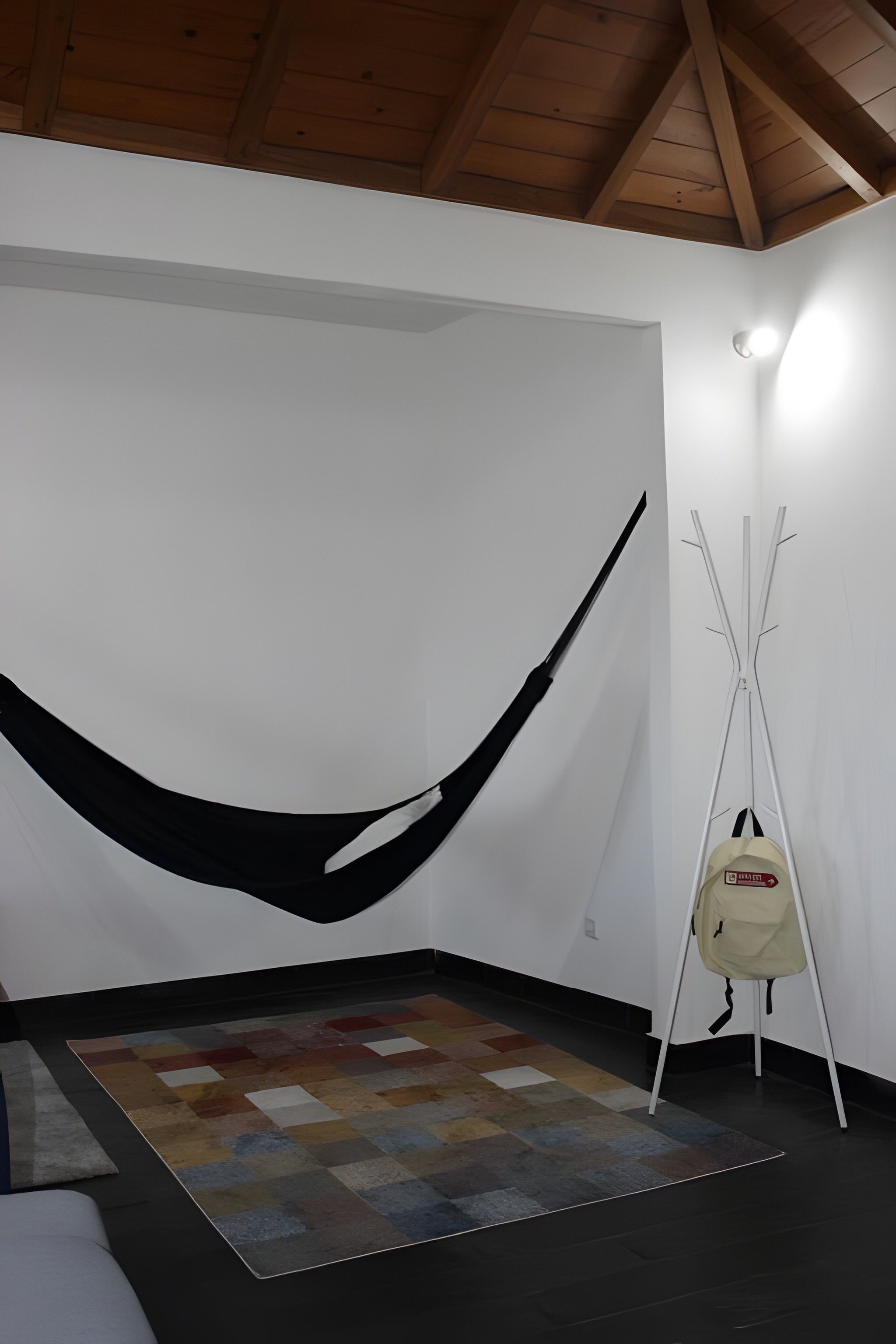 A room with a hammock, a standing lamp, and a patterned rug.