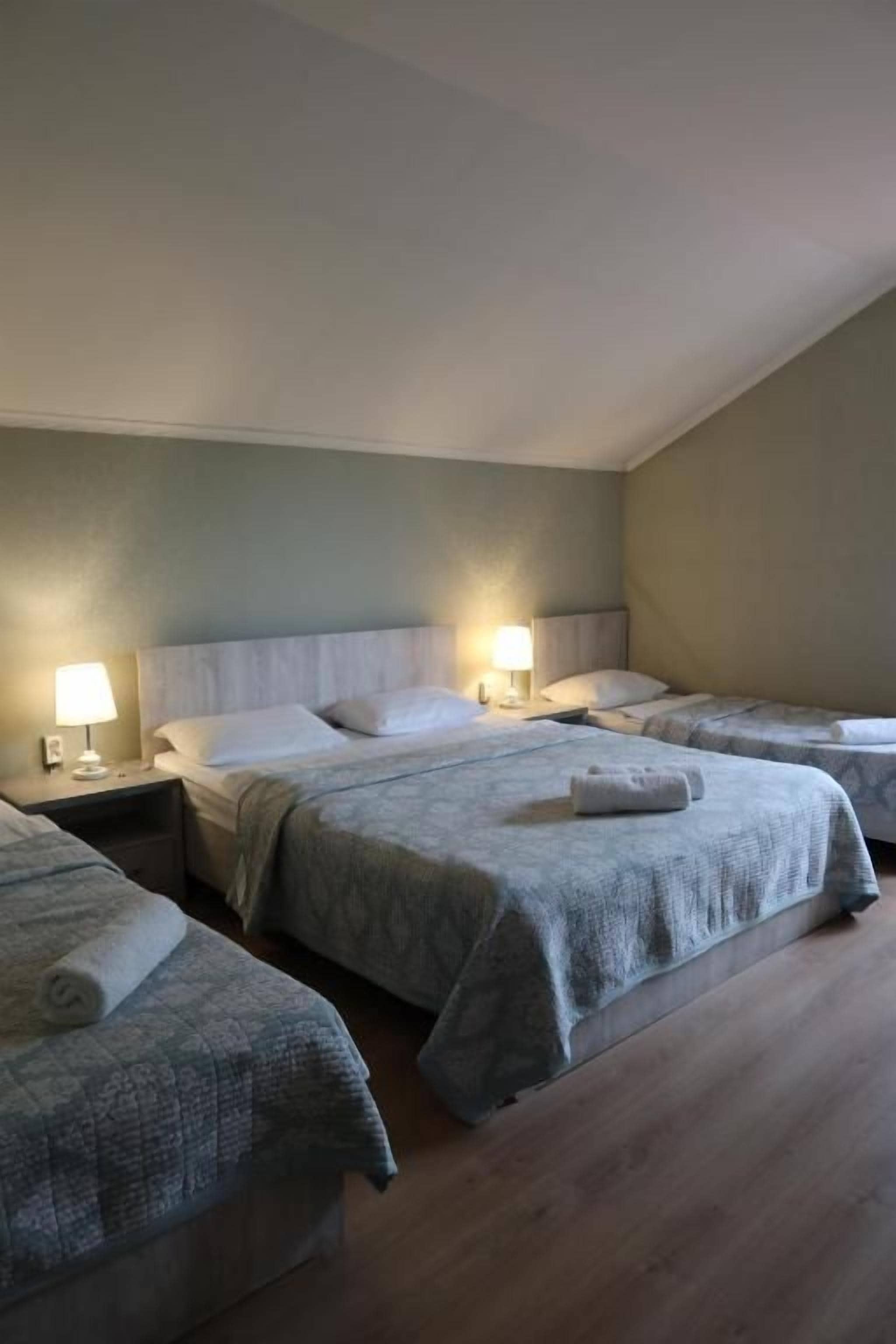 A hotel room with two single beds, each with a bedside table and lamp. The room has a sloped ceiling and wooden flooring.