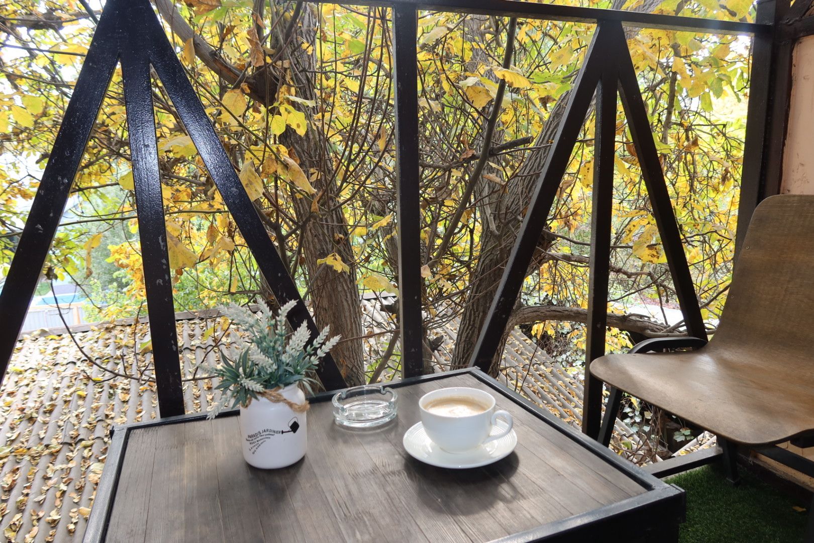 Una mesa con una taza de café, una planta pequeña y un vaso de agua, sobre un fondo de hojas otoñales y un árbol.