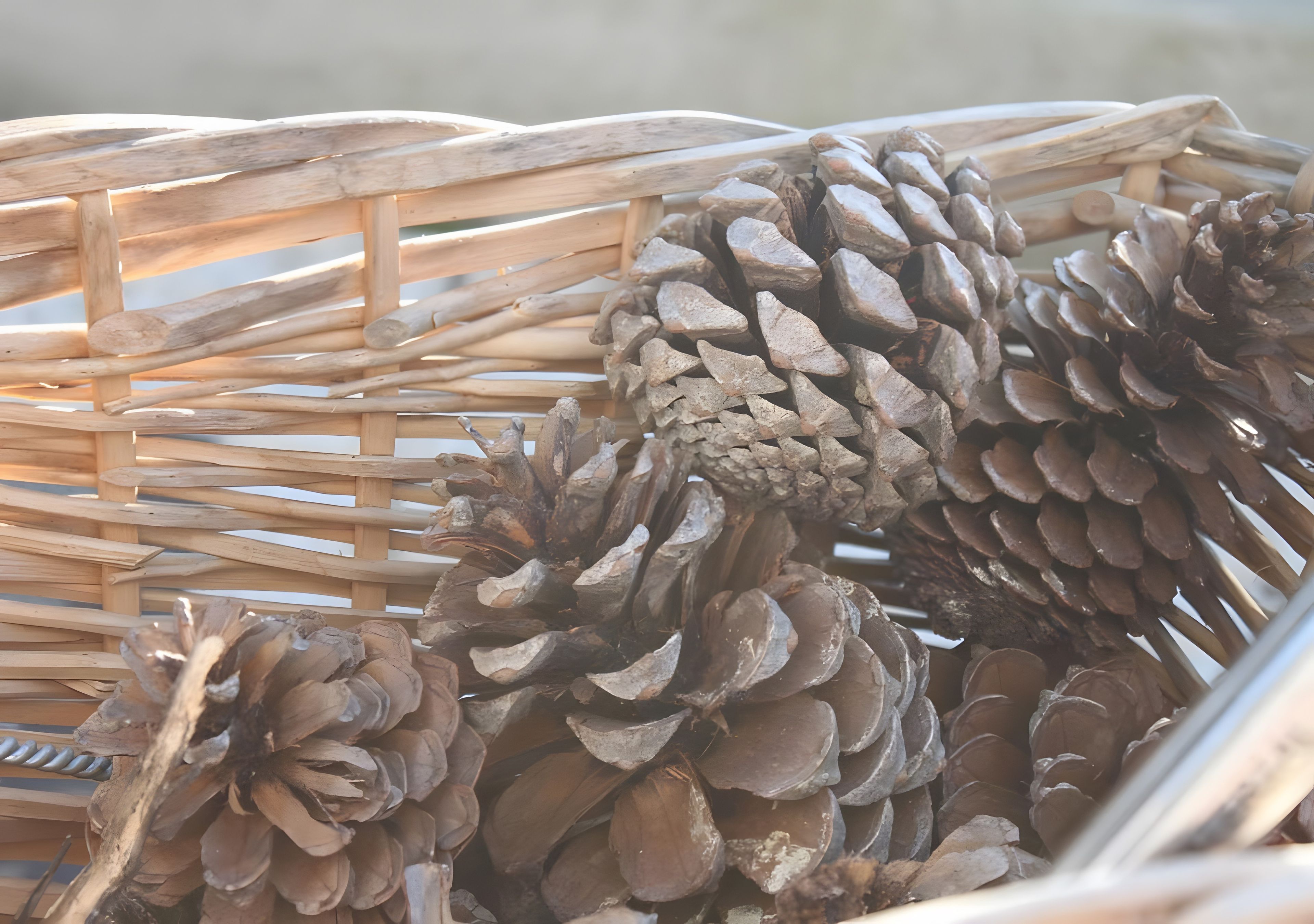 A wicker basket filled with pine cones.