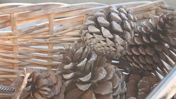 A wicker basket filled with pine cones.