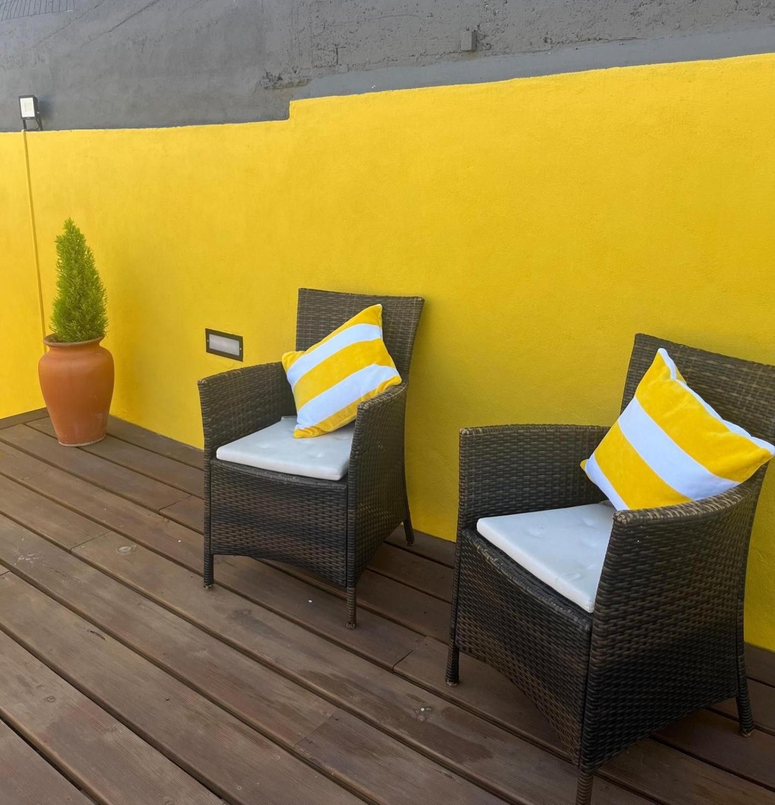 Two wicker chairs with cushions against a yellow wall, a potted plant, and a wooden deck.