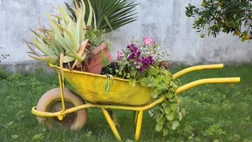 Eine Schubkarre, gefüllt mit verschiedenen Pflanzen und Blumen, steht auf dem Rasen.