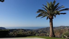 Eine Palme in einer angelegten Grünanlage mit Blick auf entfernte Hügel und das Meer.