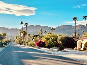 A road lined with palm trees and a mountain range in the background. - Indio Resort - 2 BR with Mountain Views and Home to Coachella (Indio)