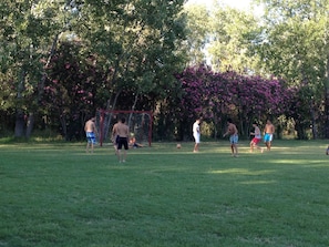 A grassy field with a soccer goal and players.