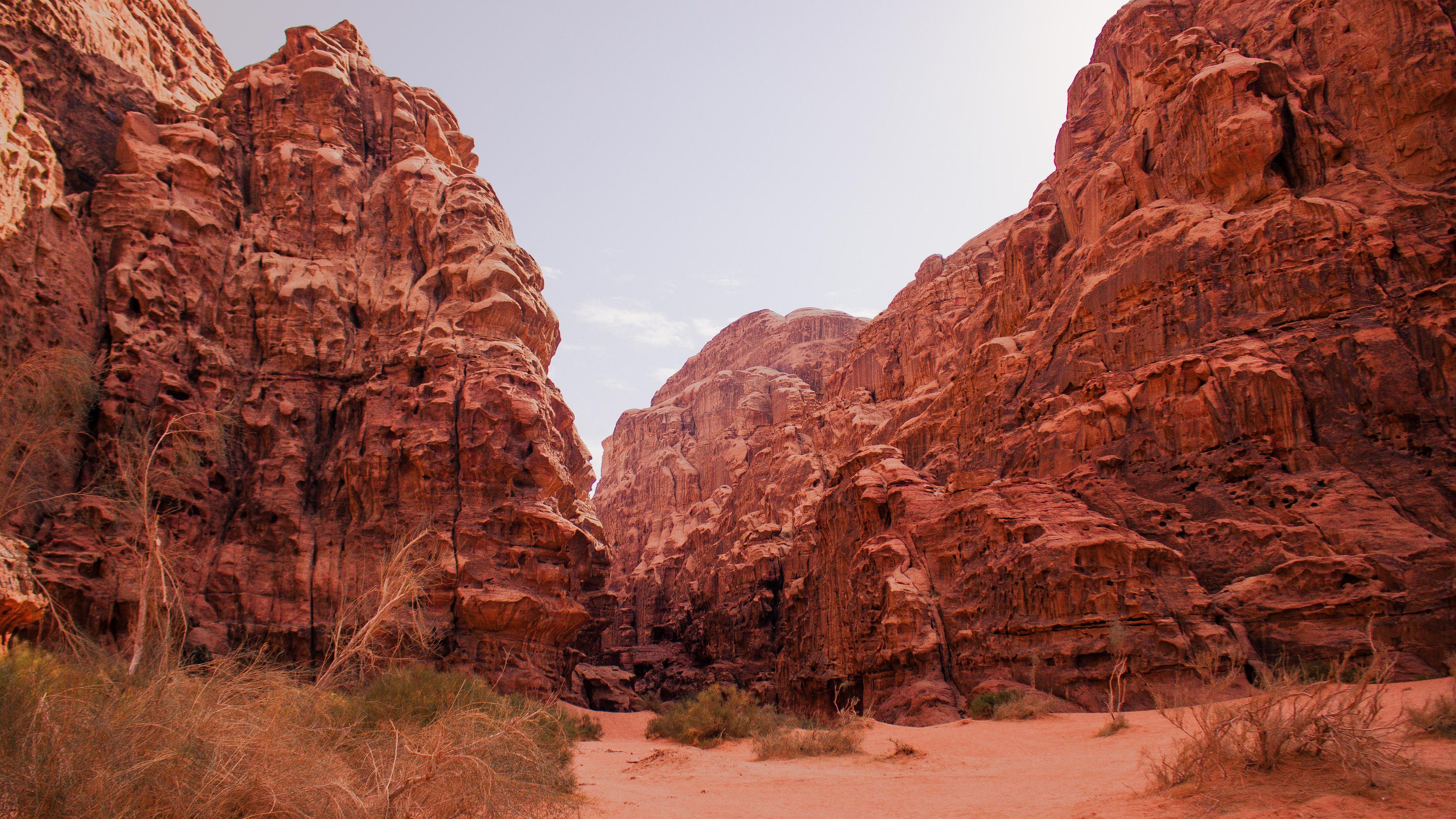 Een canyon met rode rotsformaties en schaarse begroeiing.