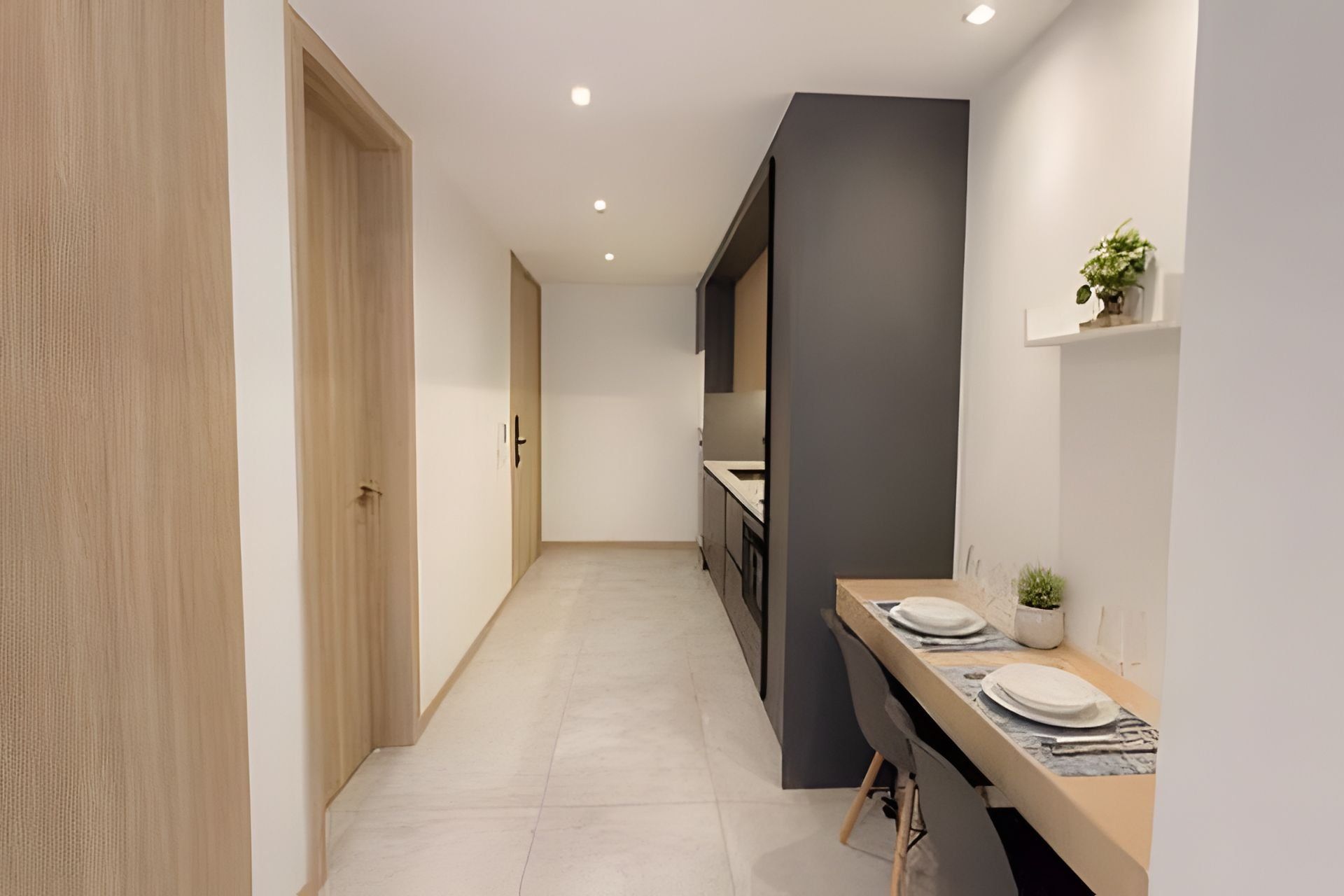 Un couloir étroit avec une porte en bois sur la gauche, un coin cuisine avec un plan de travail et des placards sur la droite, et une petite étagère avec une plante.