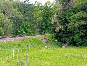 Eine ländliche Landschaft mit einem Bahnweg, einer Steinbrücke und dichtem Grün.