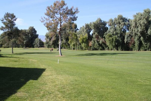 Golfkenttä, jonka keskellä on lipunvarsi, ja jota ympäröivät puut ja avoin, kirkas taivas.