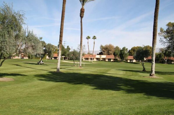 A golf course with palm trees, a clear sky, and a row of buildings in the background. - Spacious and Comfy on the 15th Fairway! (Palm Desert)