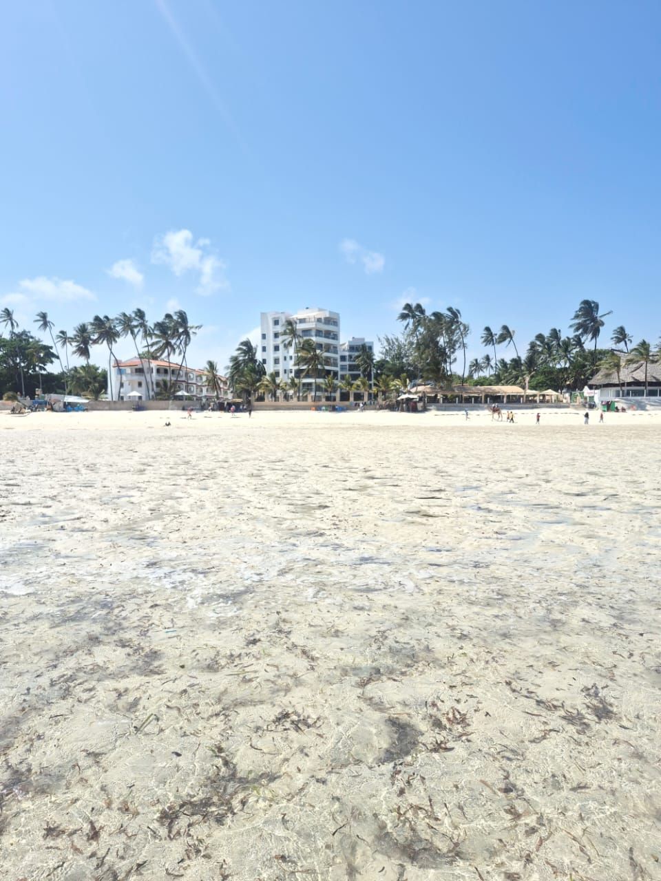 Een strand met heldere luchten, palmbomen en gebouwen in de verte.