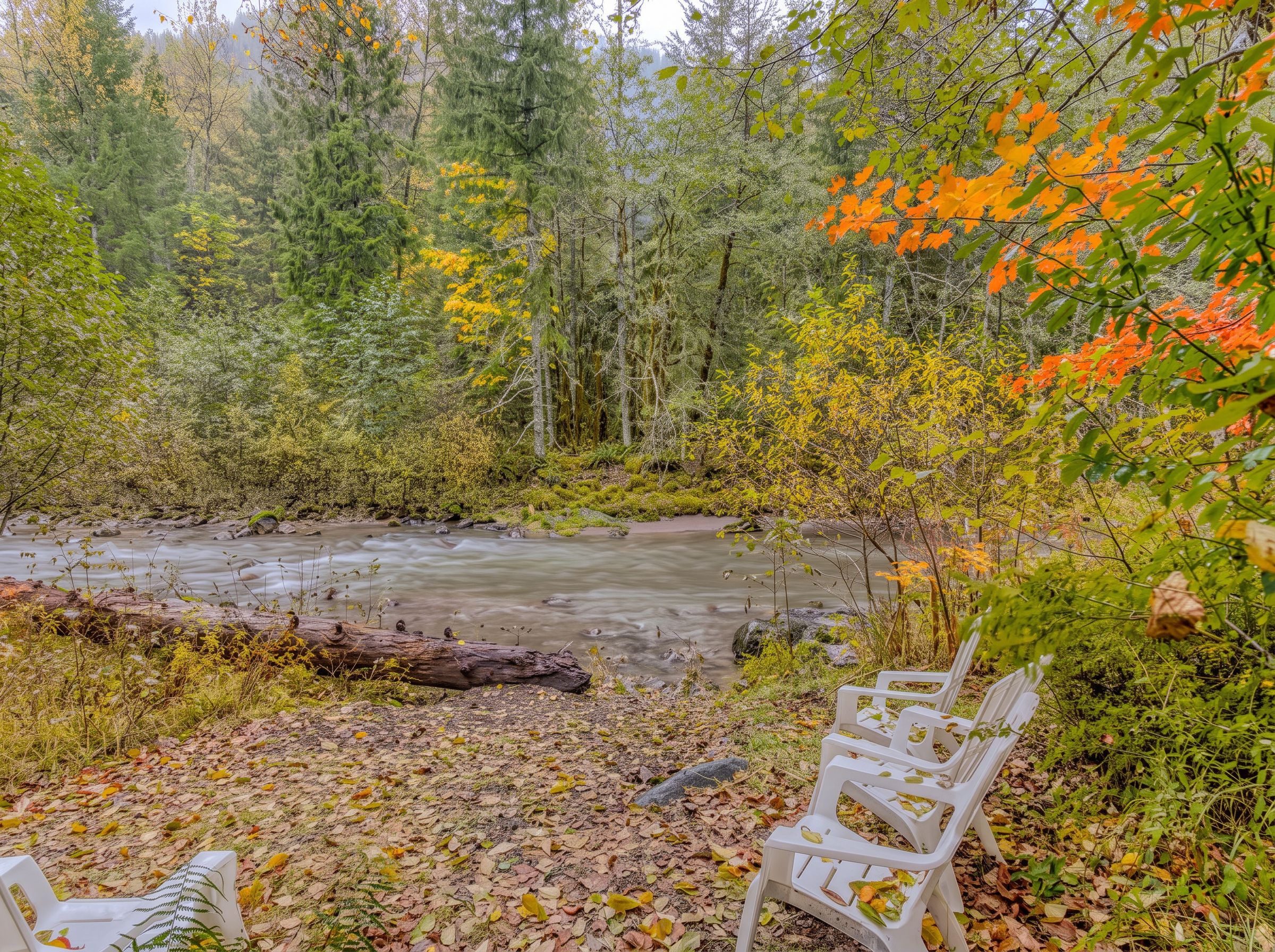 A natural outdoor setting with a river, trees, and a bench.
