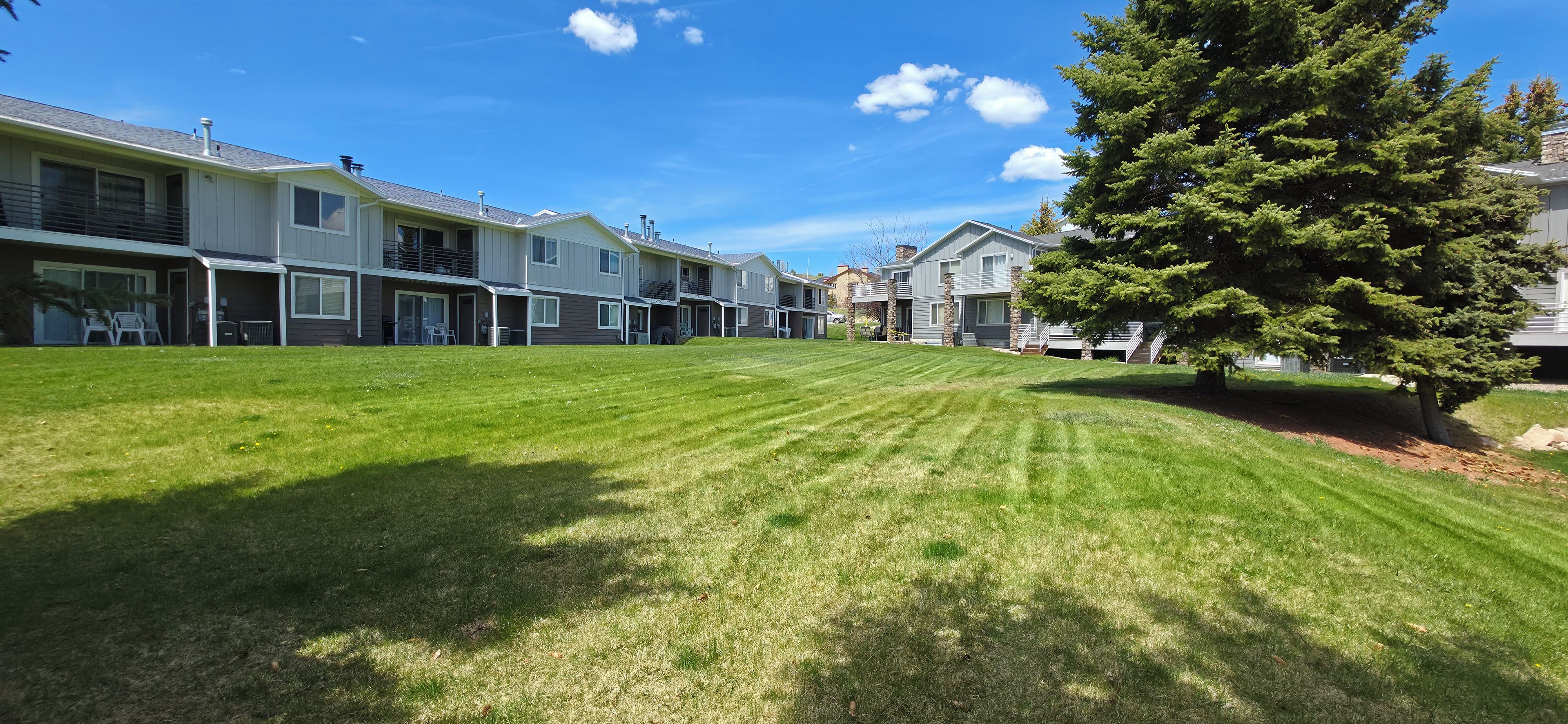 Spacious green lawn with mature trees and a peaceful outdoor setting