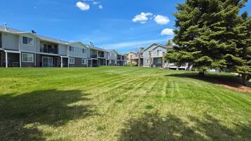 Spacious green lawn with mature trees and a peaceful outdoor setting