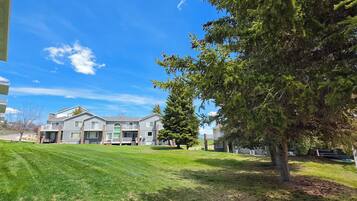 Spacious green lawn with mature trees and relaxing balcony views
