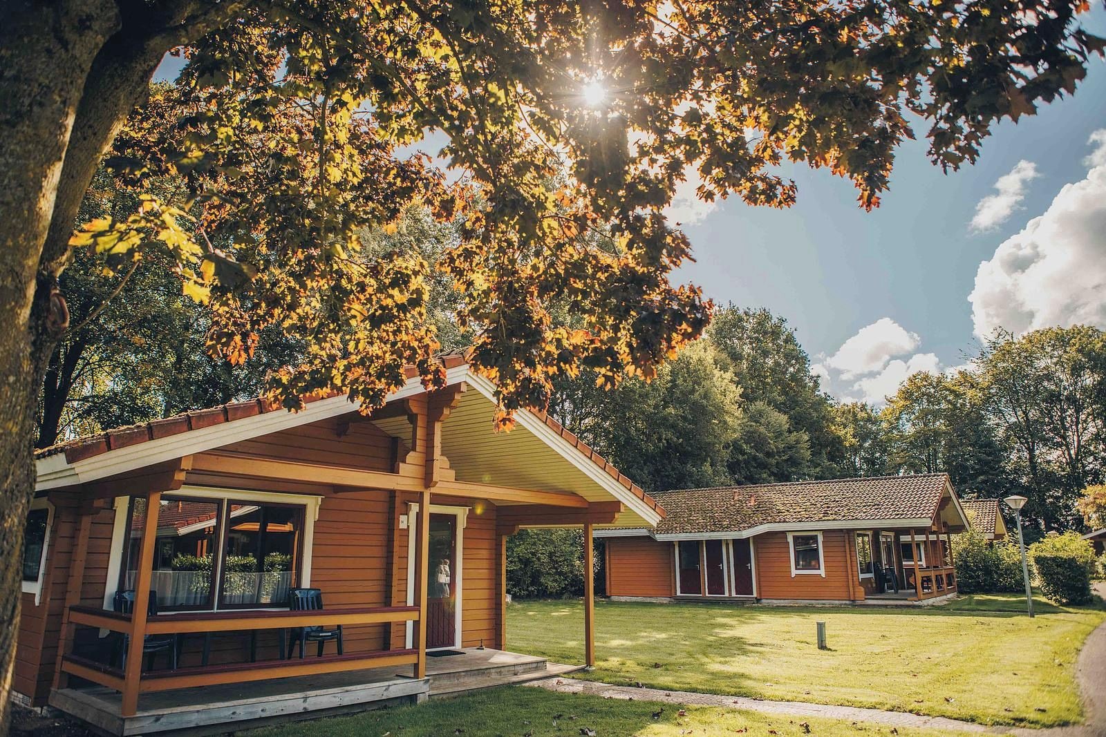 A wooden cabin with a porch and a covered patio area, surrounded by trees and a clear sky.