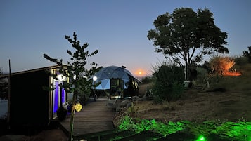 A geodesic dome structure with a wooden deck leading to it, surrounded by vegetation and a clear sky.