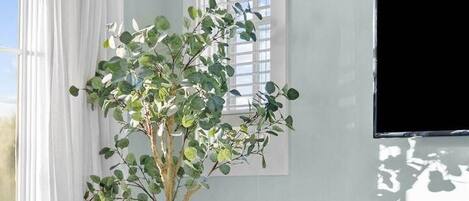 Una habitación con un escritorio de madera, una planta en maceta, un televisor y una ventana con cortinas blancas.