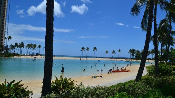 A beach with clear blue water, palm trees, and a sandy shore.