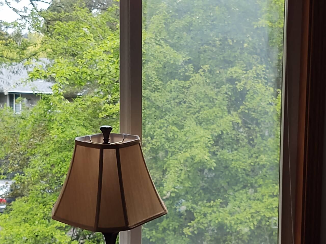 Una finestra con vista su una fitta vegetazione verde.