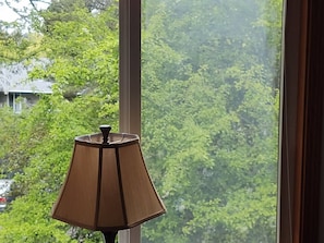 Una ventana con vistas a un follaje verde y denso.