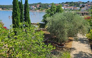 A coastal path with greenery and a view of a calm sea and houses in the background. - Lovely apartment in Lopar with house sea view (Lopar)