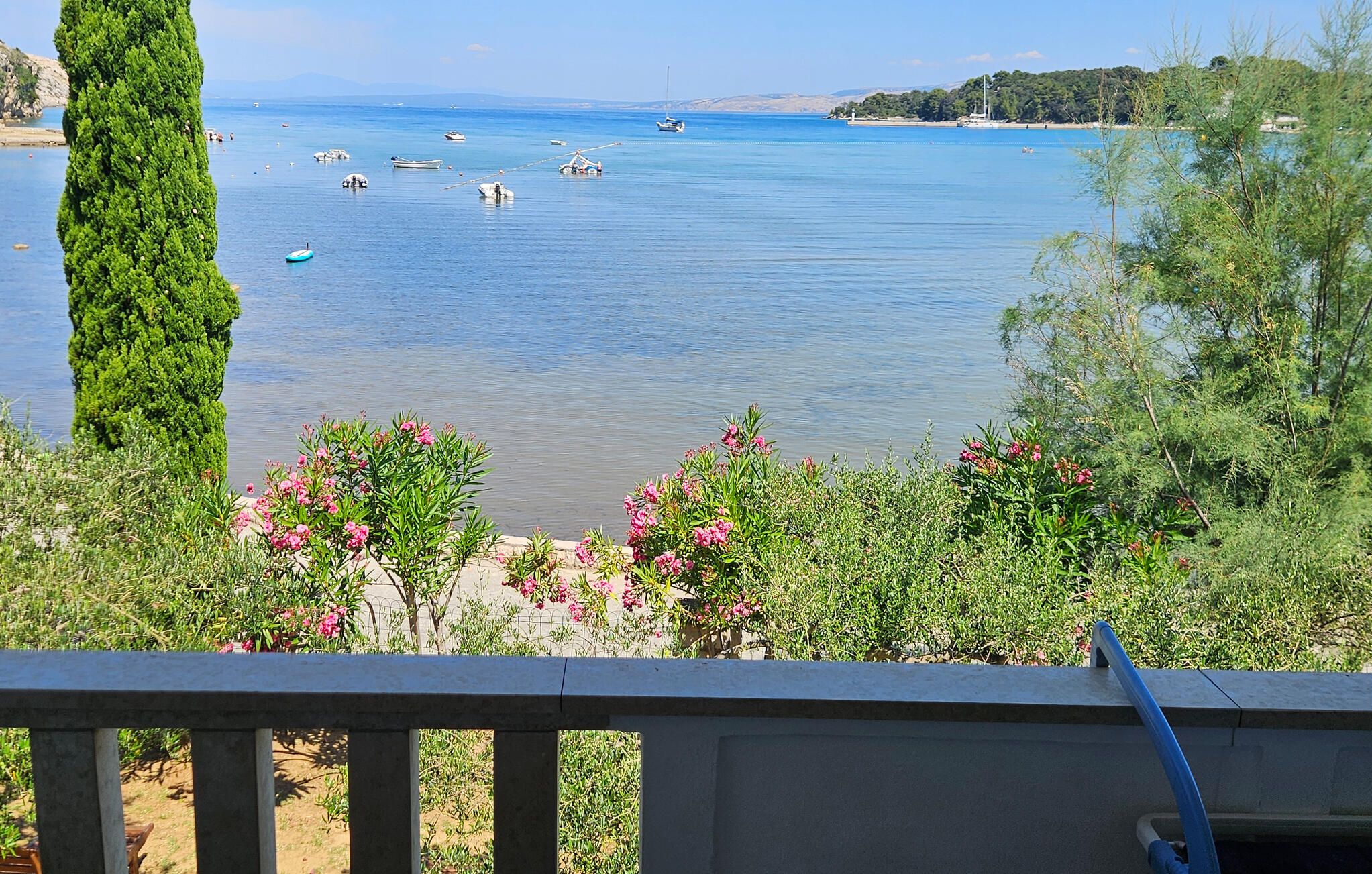 A coastal view with boats on the water, greenery, and a clear sky.