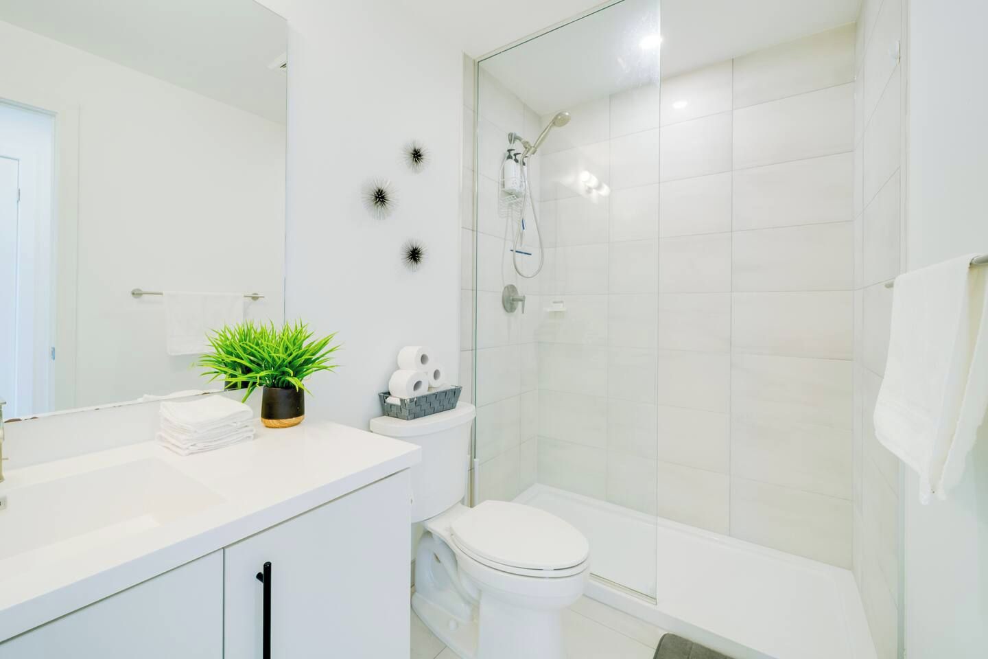 Une salle de bain moderne avec une douche à parois de verre, des toilettes blanches et un lavabo agrémenté d’une plante et d’articles de toilette.