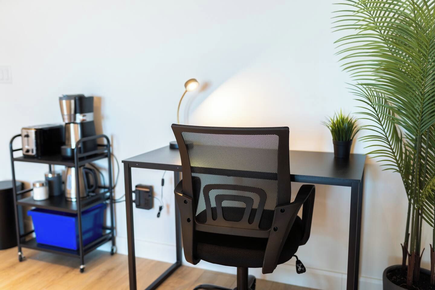 A workspace with a mesh chair, a desk, a shelf with various items, and a potted plant.