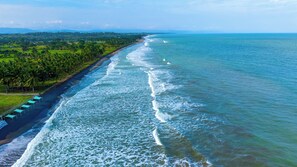 Une route côtière, avec une plage d’un côté et une zone boisée de l’autre.