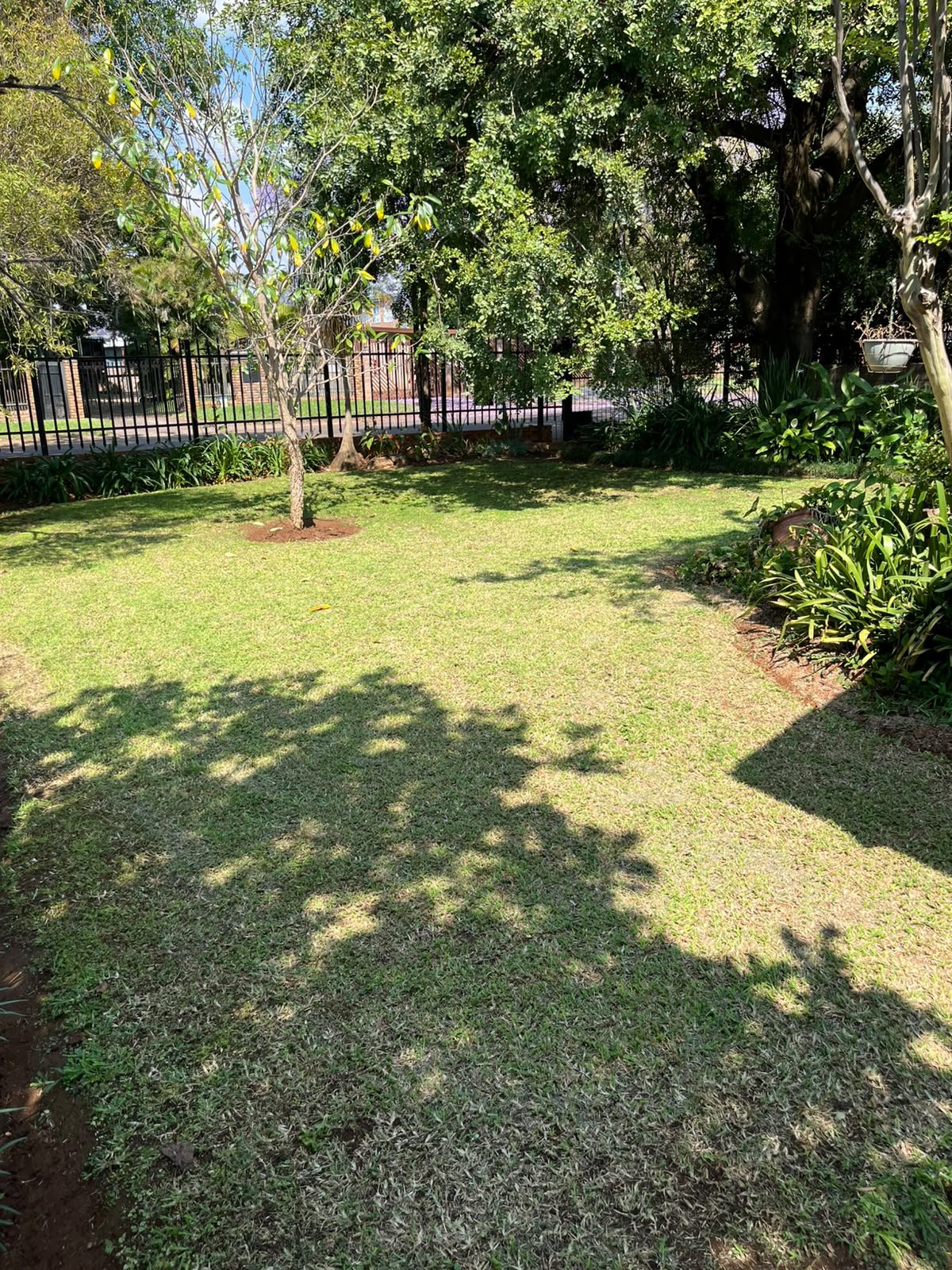 A well-maintained grassy area with trees and a fence, likely part of a residential property.