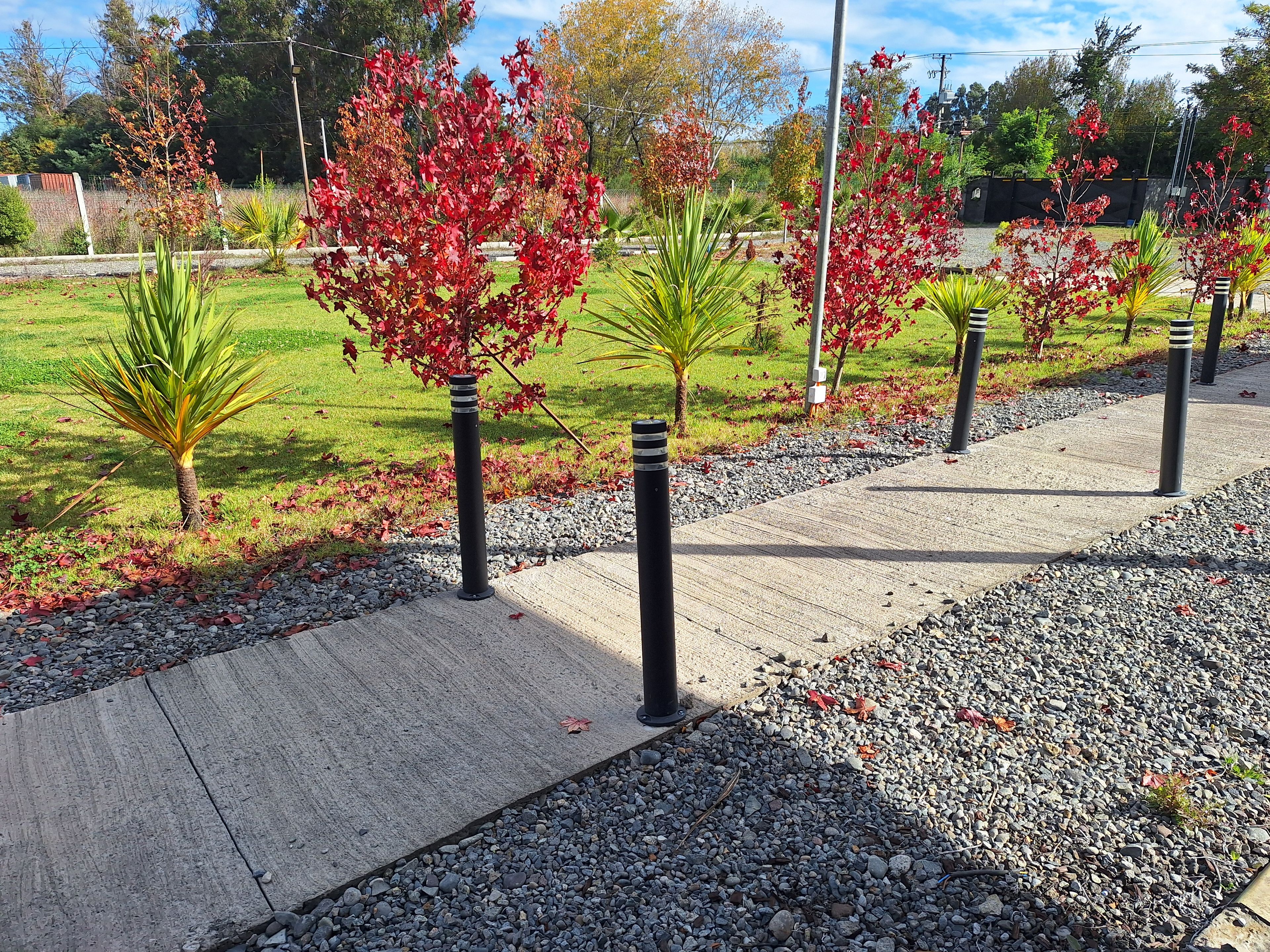 A pathway lined with trees and bollards, leading through a landscaped area with grass and gravel.