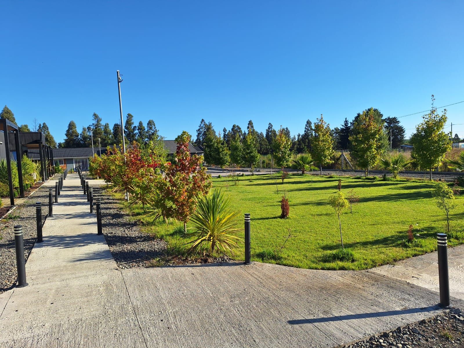 A paved pathway leading to a grassy area with trees and a building in the background.