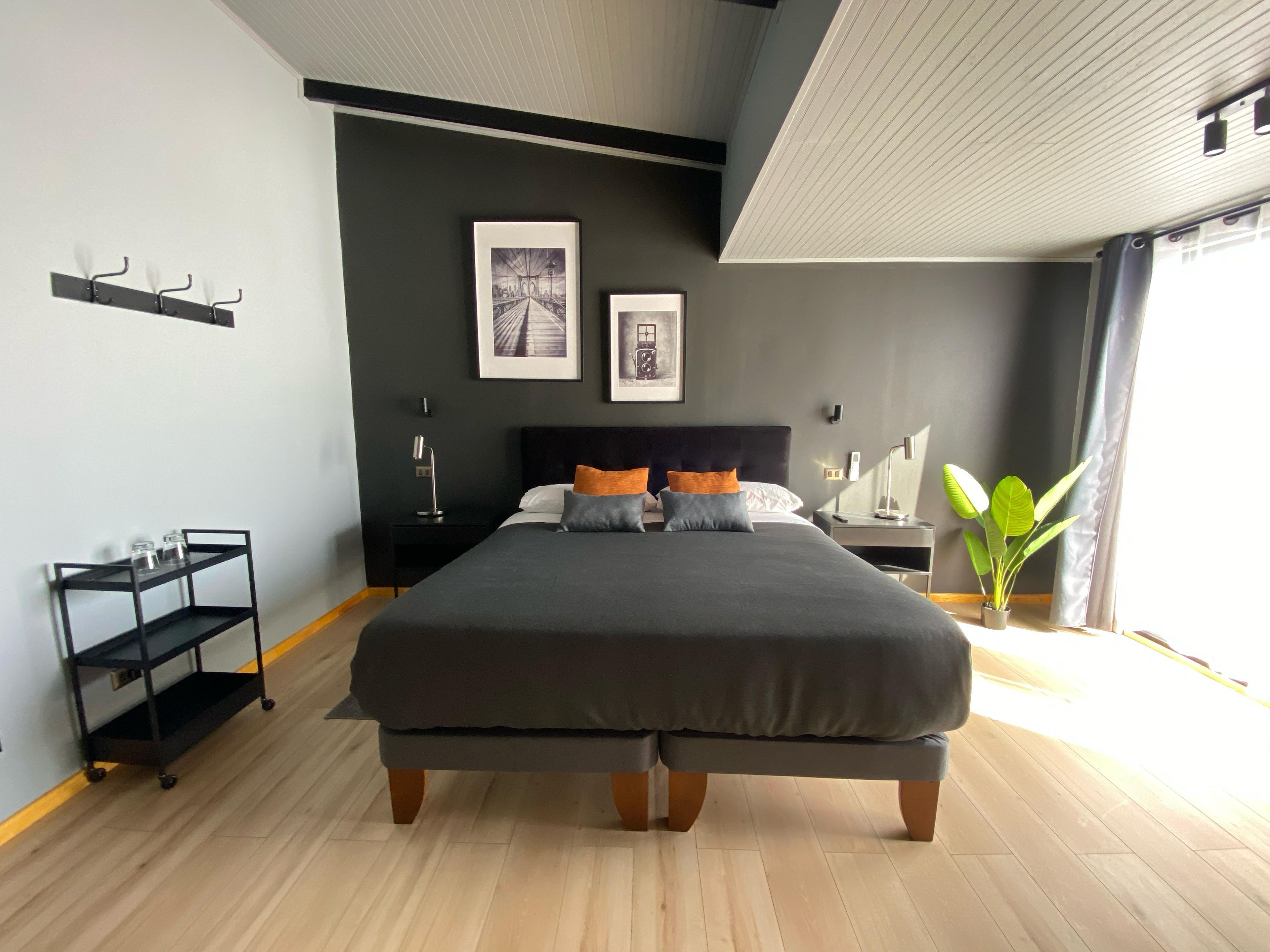 Une chambre à coucher moderne avec un grand lit, une table de chevet, une étagère fixée au mur et une plante en pot.