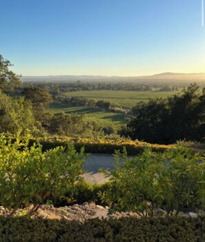 Miscellaneous - Gated Vineyard estate Studio in wine country Healdsburg for your getaway (Healdsburg)