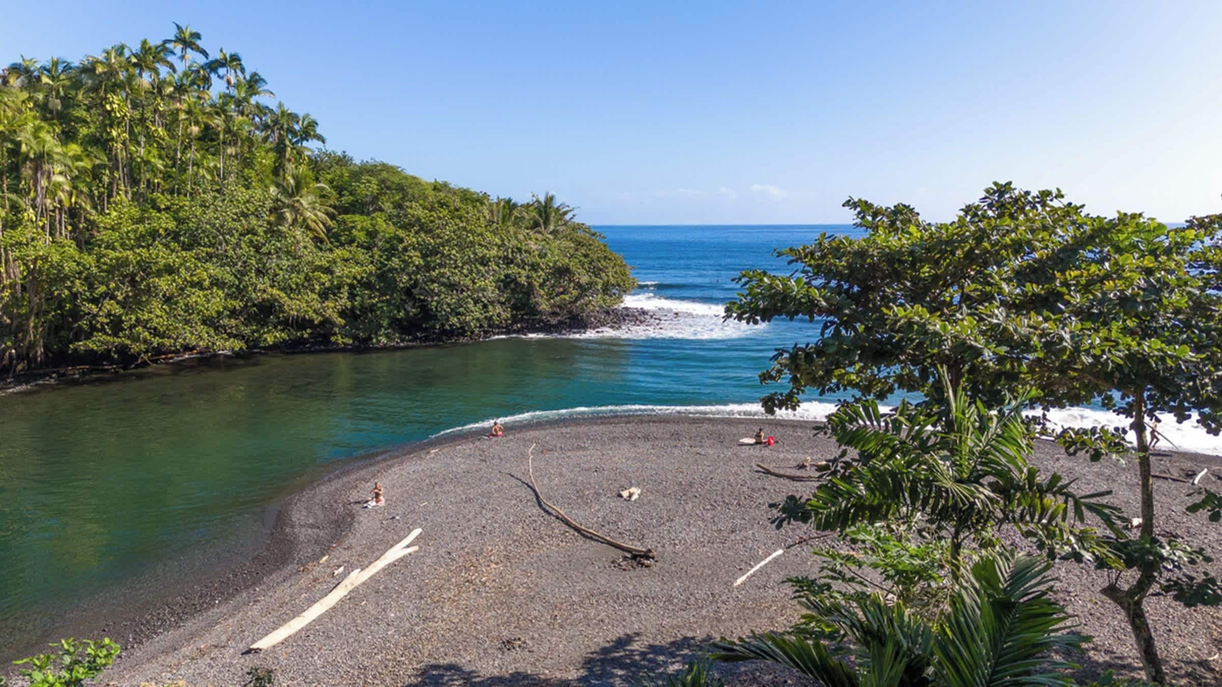 A beach with a rocky shoreline, surrounded by dense tropical vegetation.