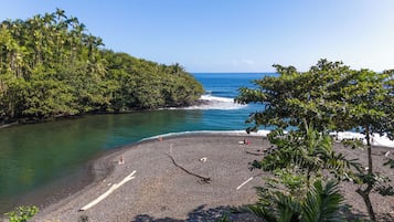 A beach with a rocky shoreline, surrounded by dense tropical vegetation.
