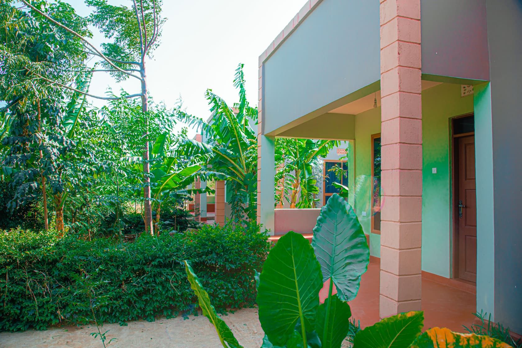 A modern building with a covered entrance, surrounded by lush greenery and large plants.