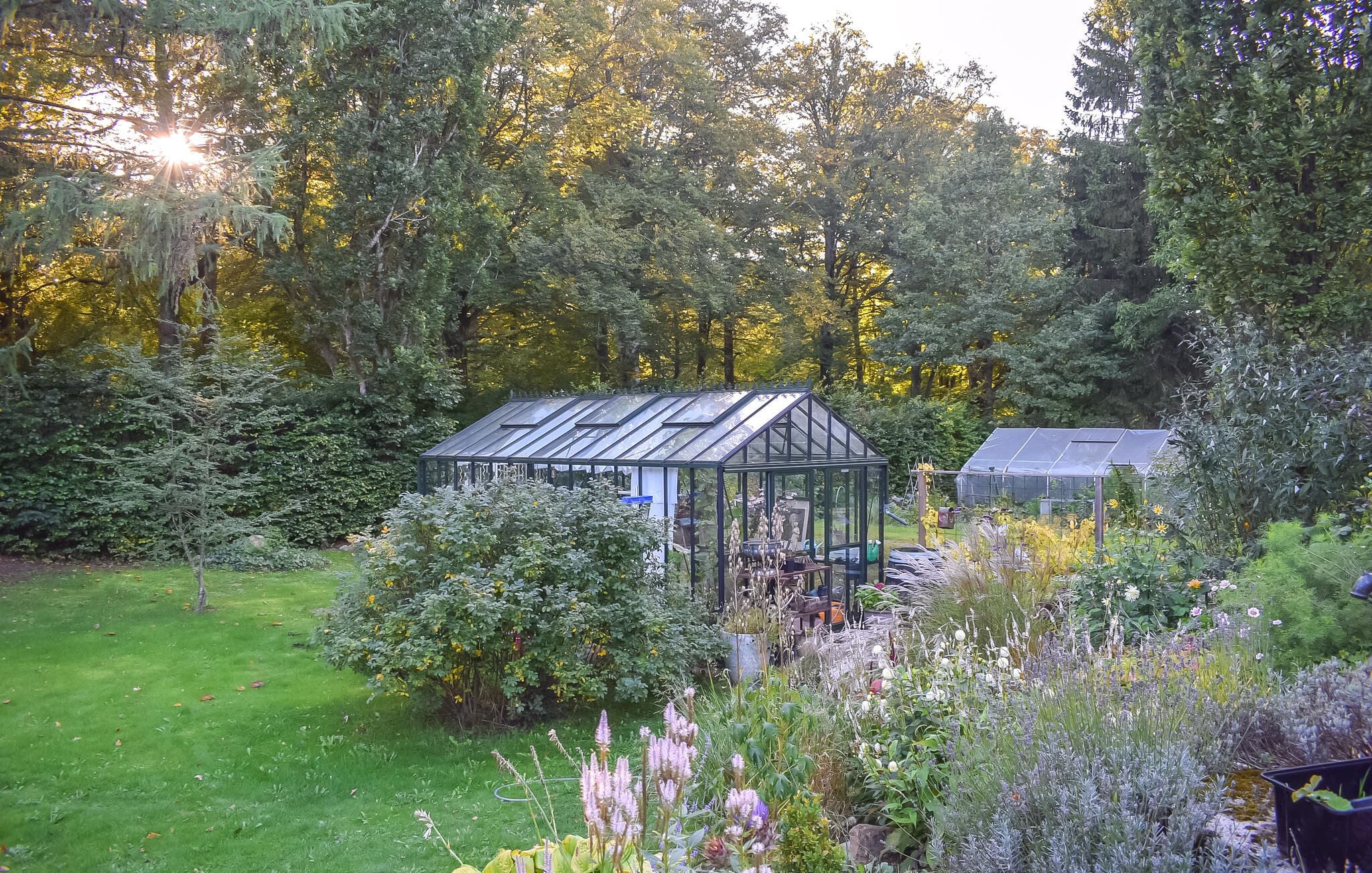 Infern de vidre envoltat de vegetació exuberant i diferents plantes.