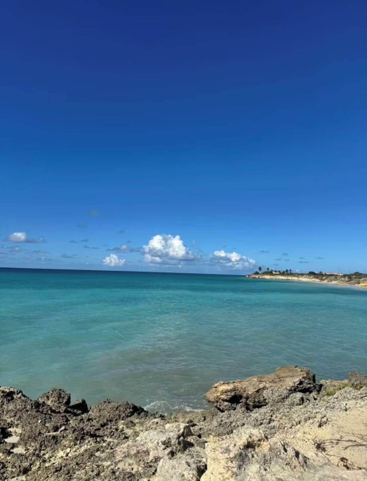 海灘