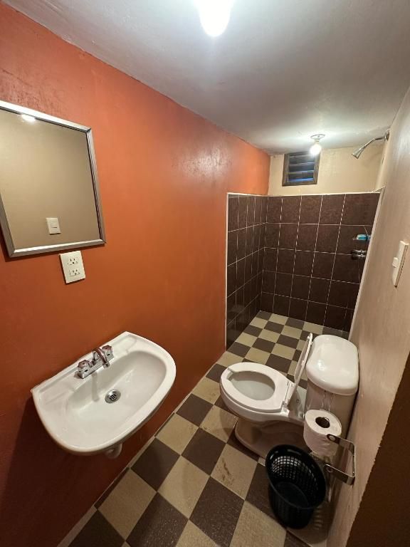 Baño con lavamanos, inodoro y zona de ducha.