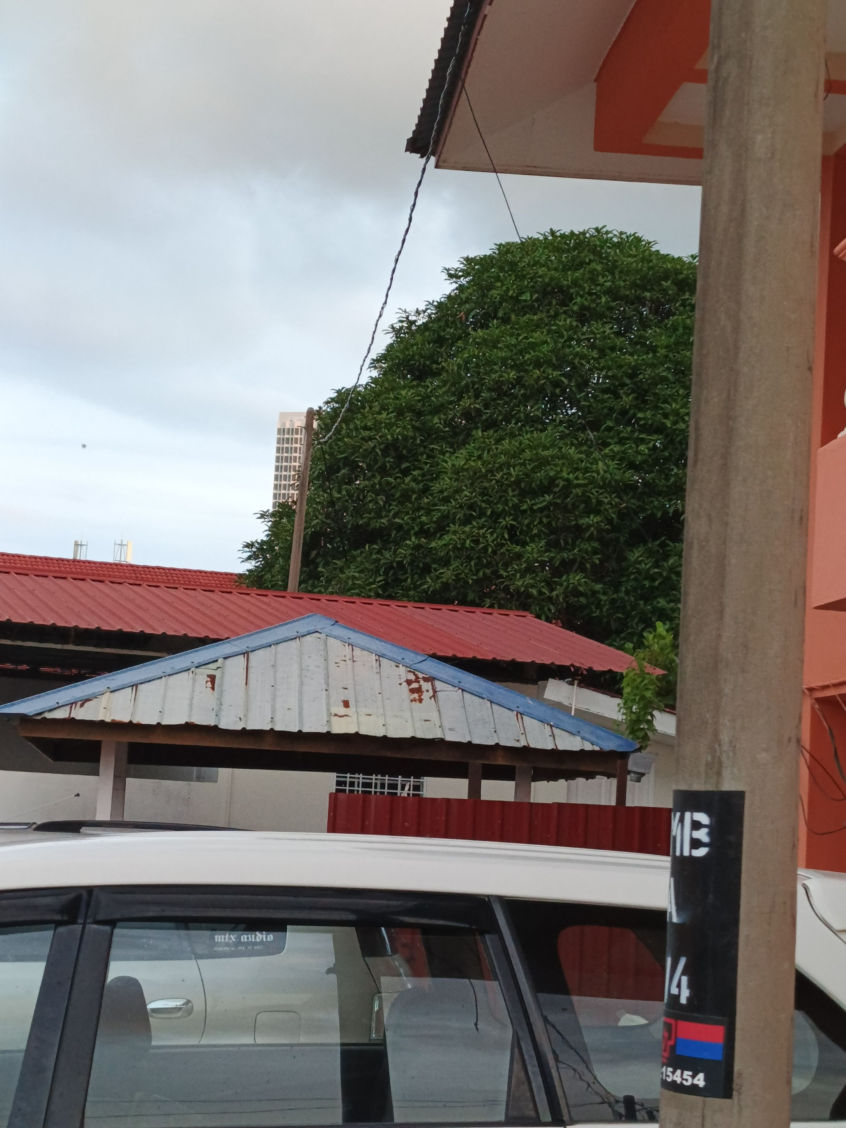 A building with a red roof and a large tree in the background.
