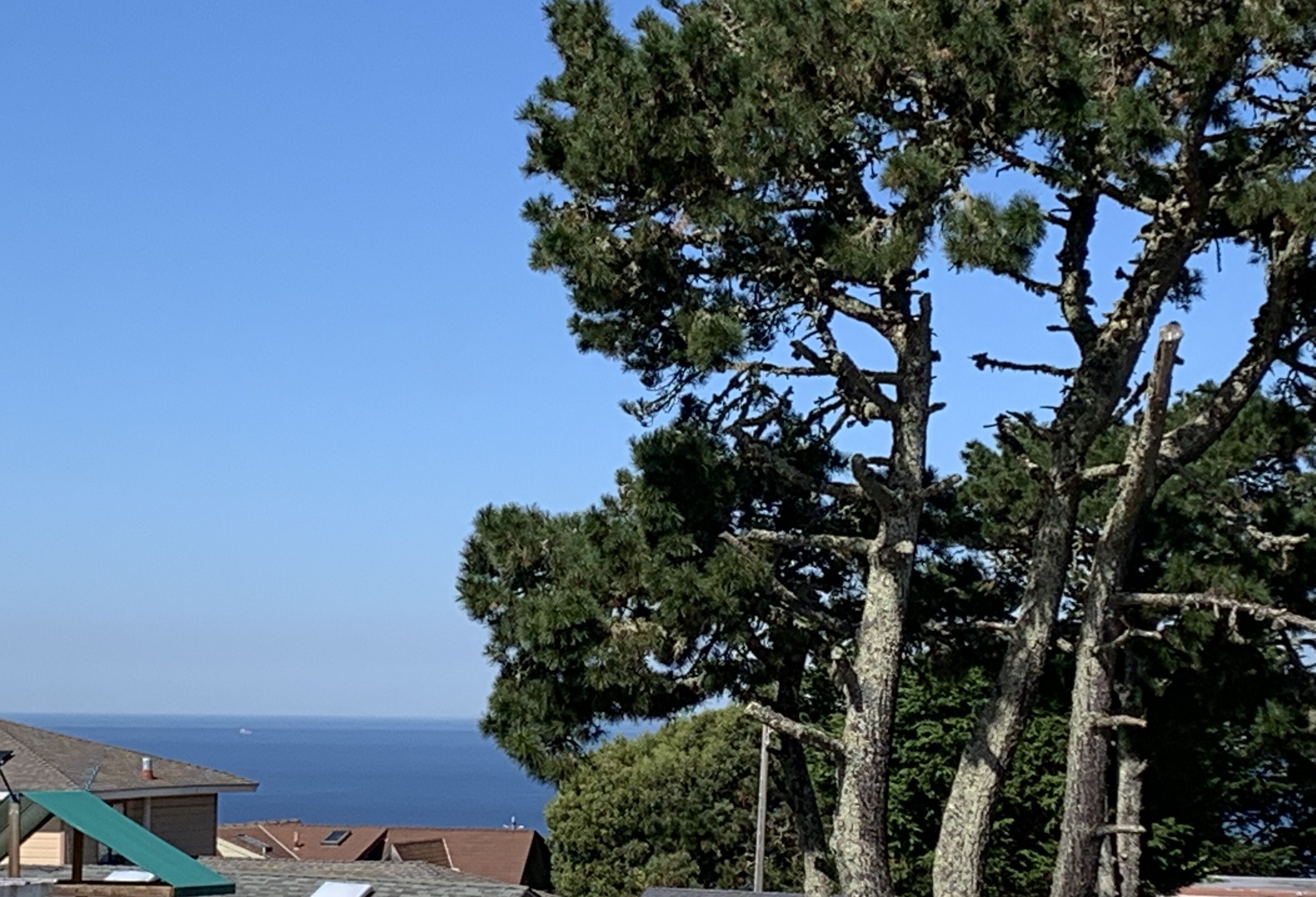 A coastal view with a clear sky, a large tree, and a building with a sloped roof.